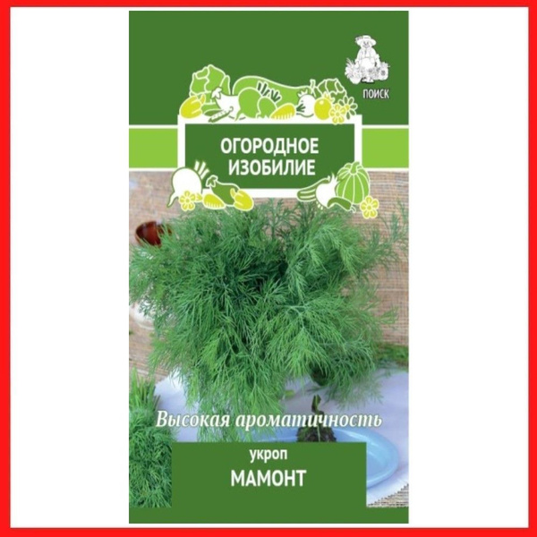 Укроп ПОИСК Агрохолдинг Укроп Аврора_зеленый_Укроп "Аврора" - купить по ...