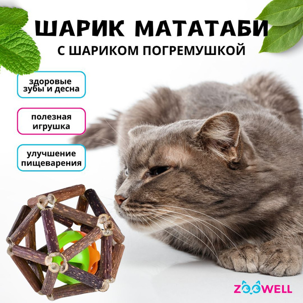  ZooWell Actinidia Polygama 