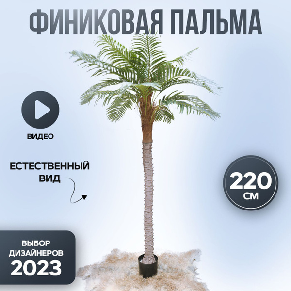 Купить Искусственное декоративная Финиковая Пальма 220 см по выгодной ...
