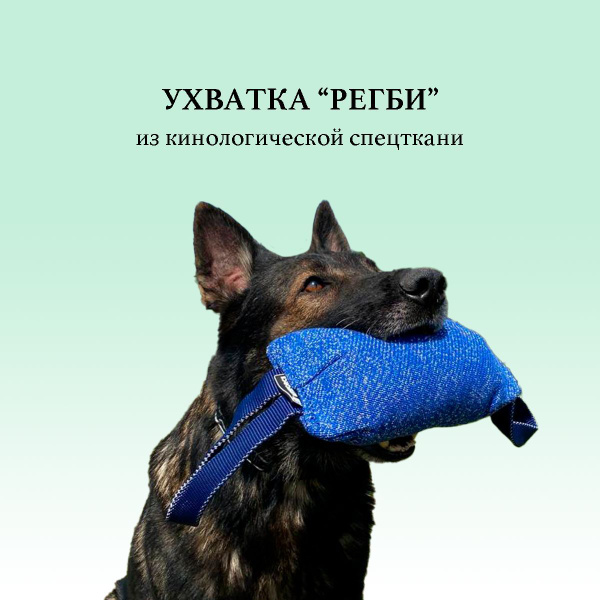 Грызак Регби BITEFORCE синий для собак, 13 на 25см - купить с доставкой ...
