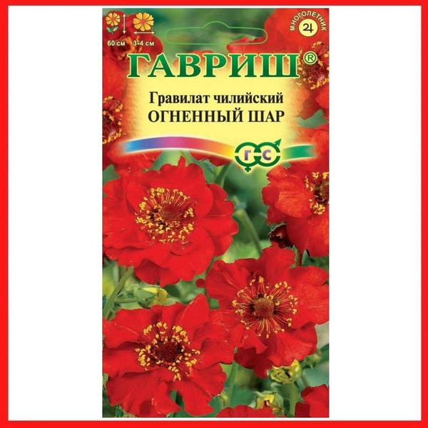 Гравилат Гавриш Гравилат чилийский "Аурелия"_золотой_желтый - купить по ...