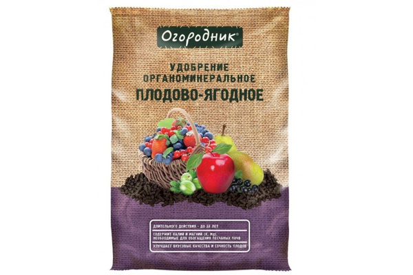 2. Плодовые деревья и кустарники