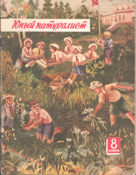 В ссср среди юных натуралистов существовало. Юный натуралист 79 1983. Юный натуралист 1956. Юный натуралист 1983 выпуск 79. Юный натуралист журнал 79 1983.