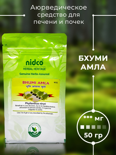 Nidco Ayurveda Бхуми Амла (Bhumi Amla), 50г - купить с доставкой по ...