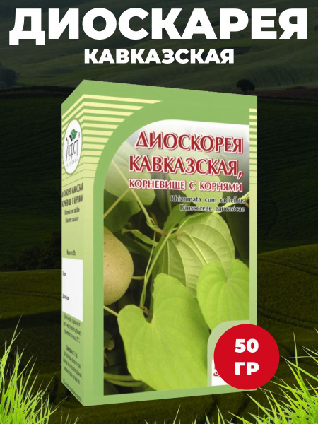 Диоскорея кавказская, корневище 50 гр - купить с доставкой по выгодным ...