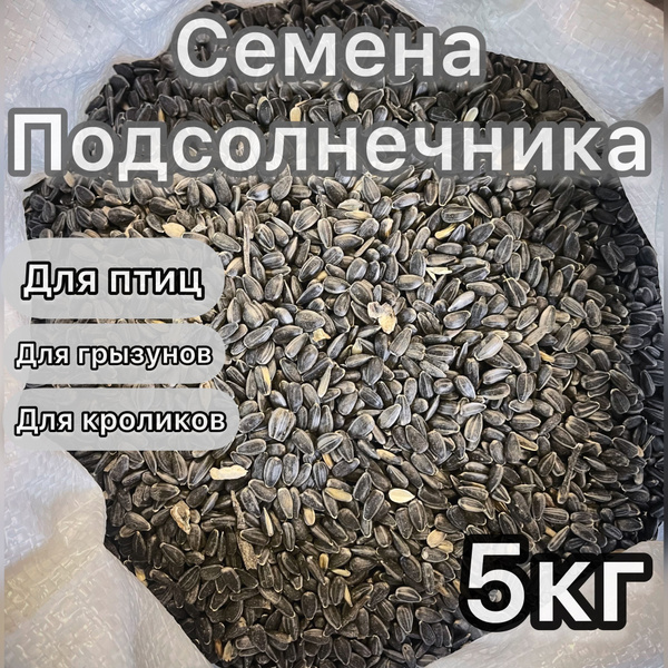 Семечки подсолнечника 5кг. Сырые неочищенные. Корм для парковых, лесных ...