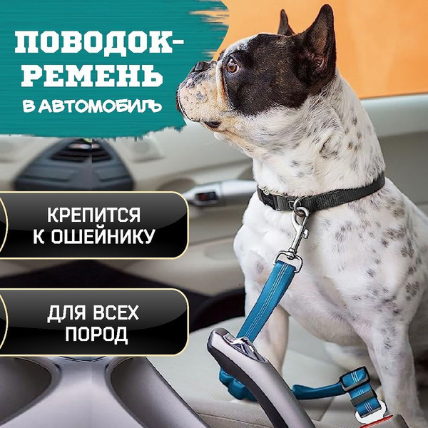 Ремень безопасности для собак в салон автомобиля, Big Jungle, поводок ...