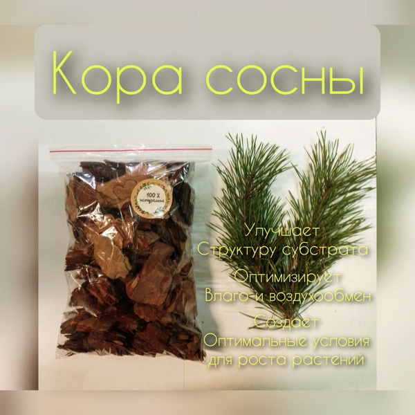 Кора сосны 2л. - купить по низкой цене в интернет-магазине OZON ...
