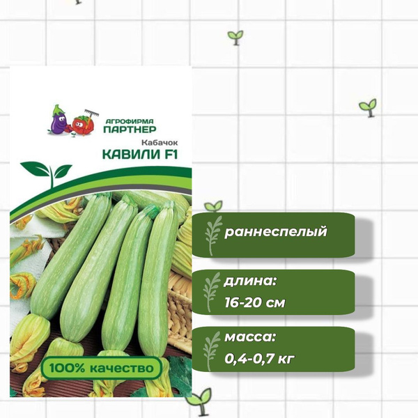 Кавили кабачок описание фото отзывы характеристика