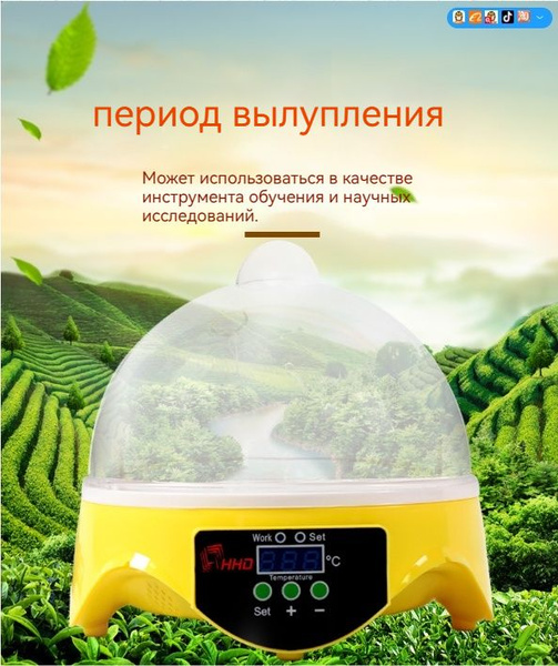 Вилка европейского стандарта/Небольшой инкубатор на 7 яиц/110v/220v ...