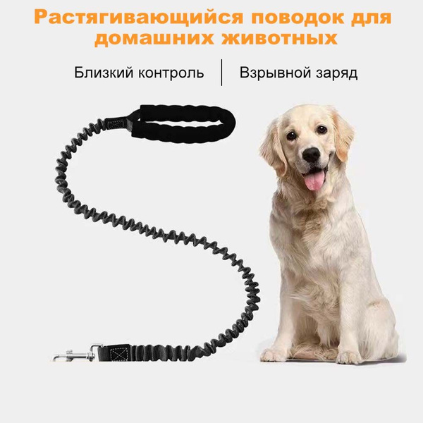 цепь для собак /Эластичный и растяжимый/2m купить на OZON по низкой ...
