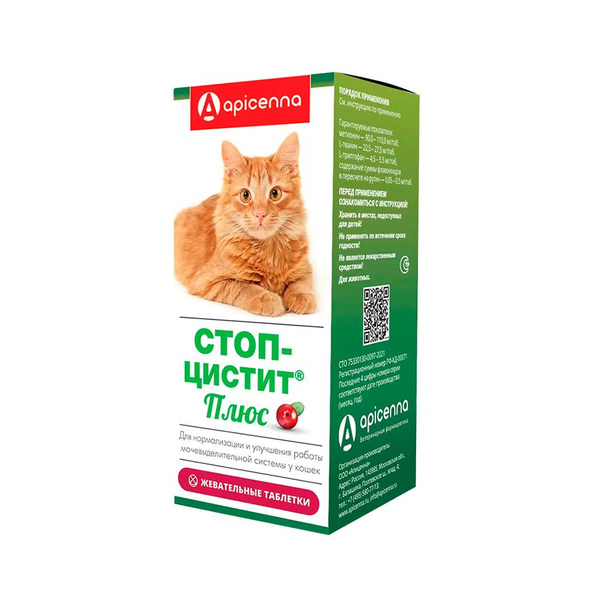 Стопцистит для котов
