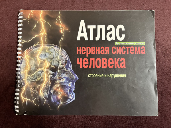 Атлас нервная система человека. Строение и нарушения Астапов В ...
