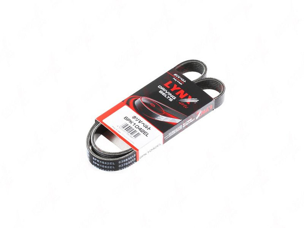 6PK725 Correa Elástica de accesorios Continental - Rulemanes