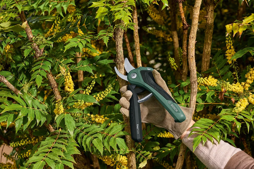 Как включить аккумуляторный секатор. Bosch easyprune (06008b2100). аккумуляторный секатор easyprune. сучкорез bosch 06008b5100. аккумуляторный секатор bosch easyprune, 06008b2100 отзывы.