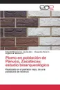 Plomo en poblacion de Panuco, Zacatecas. estudio bioarqueologico - Pérez C. I.Casandra, Medrano E. Angélica M.