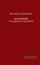 Im Zwielicht. Zwanglose Geschichten - Hermann Sudermann