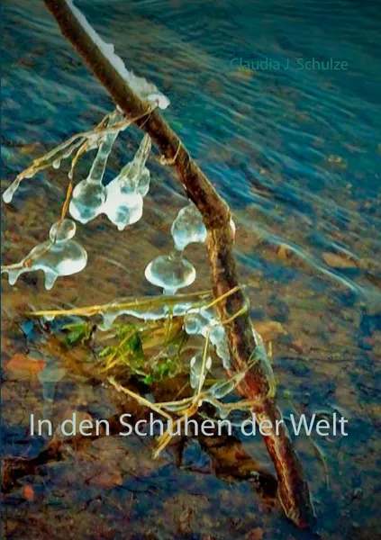 Обложка книги In den Schuhen der Welt, Claudia J. Schulze