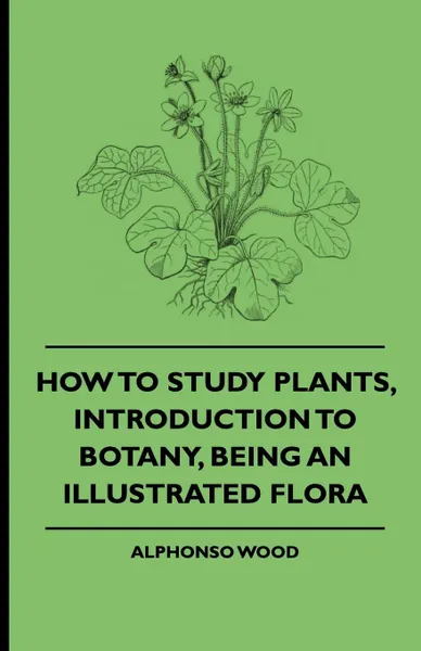 Обложка книги How to Study Plants, Introduction to Botany, Being an Illustrated Flora, Alphonso Wood, Adelaide Lady Cadogan