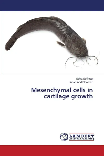 Обложка книги Mesenchymal cells in cartilage growth, Soliman Soha, Abd Elhafeez Hanan