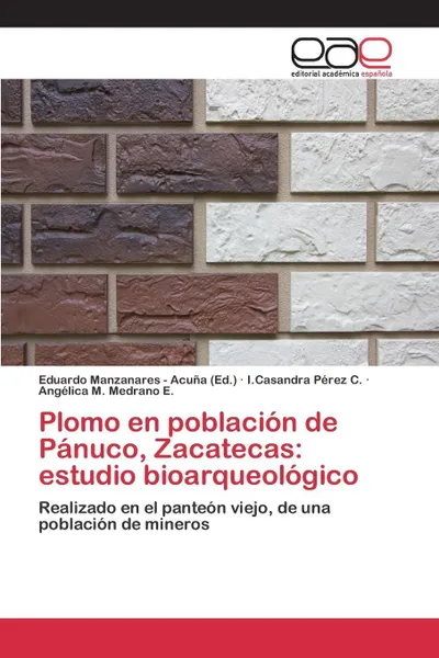 Обложка книги Plomo en poblacion de Panuco, Zacatecas. estudio bioarqueologico, Pérez C. I.Casandra, Medrano E. Angélica M.