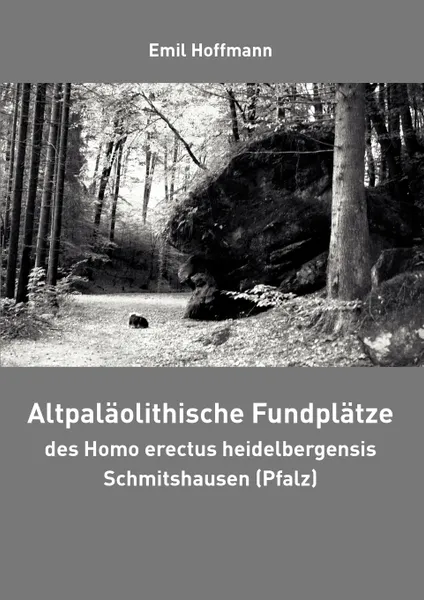 Обложка книги Altpalaolithische Fundplatze des Homo erectus heidelbergensis Schmitshausen (Pfalz), Emil Hoffmann