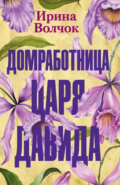 Обложка книги Домработница царя Давида, Волчок Ирина