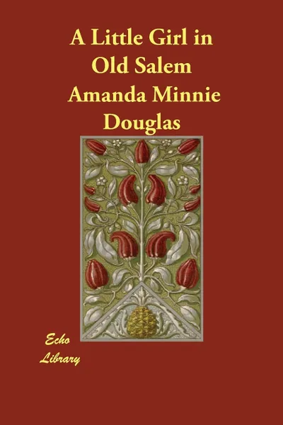 Обложка книги A Little Girl in Old Salem, Amanda Minnie Douglas