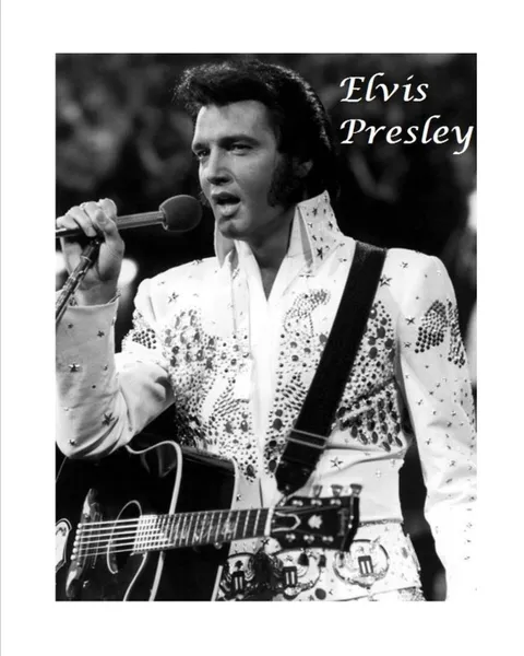 Обложка книги Elvis Presley, S. Moore