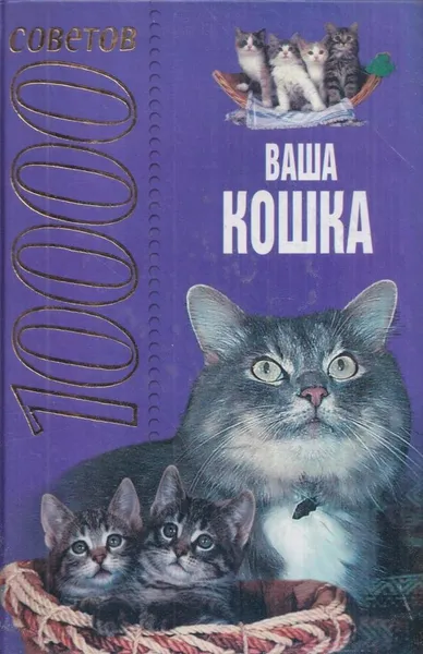 Обложка книги 10000 советов. Ваша кошка, Высоцкая Н.В.