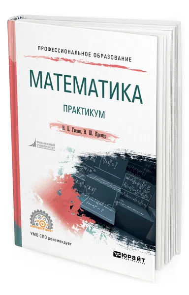 Обложка книги Математика. Практикум, Гисин Владимир Борисович