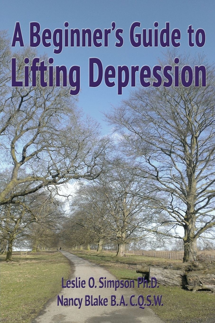 фото A Beginner's Guide to Lifting Depression