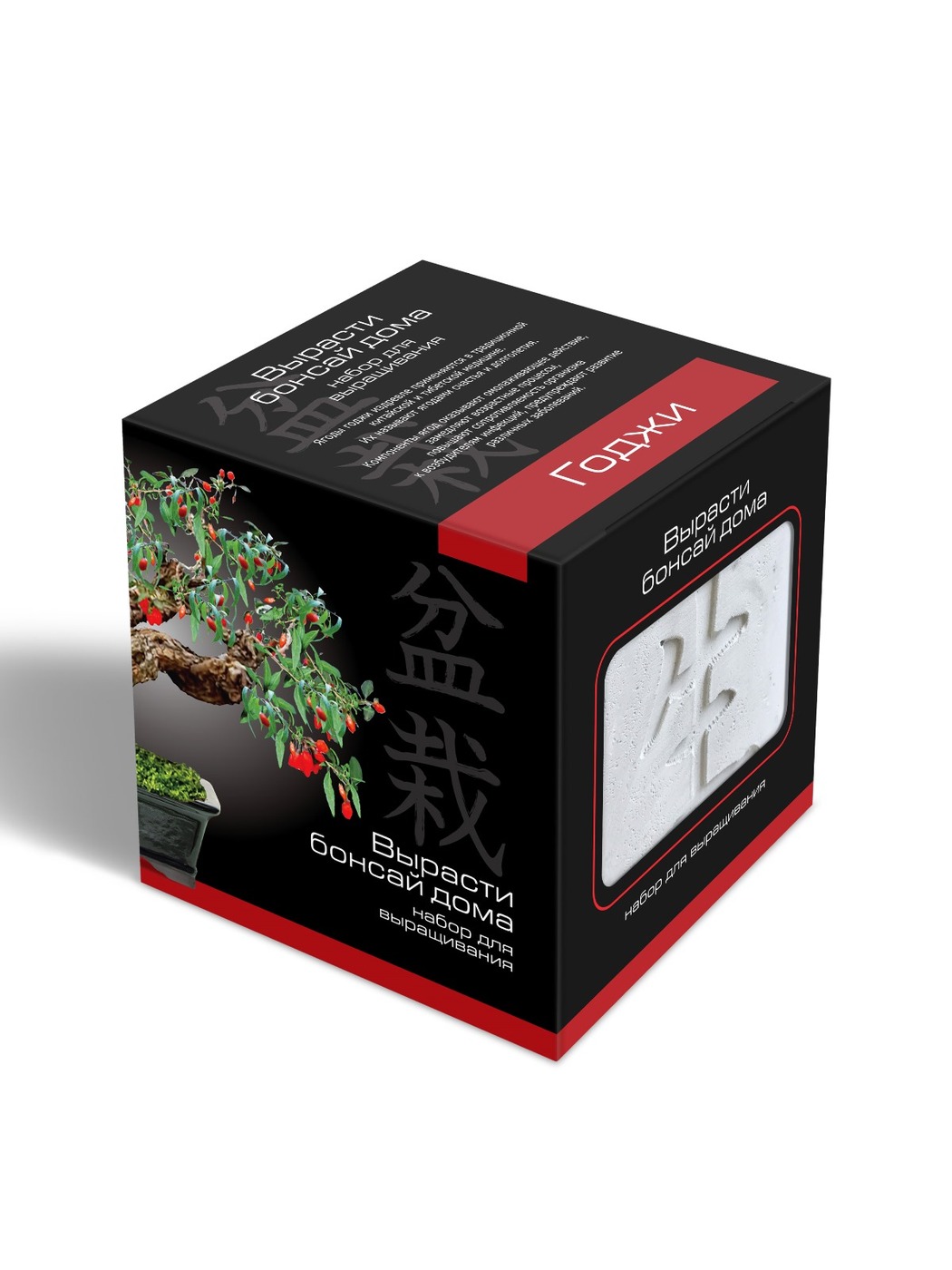 набор для выращивания вырасти бонсай дома