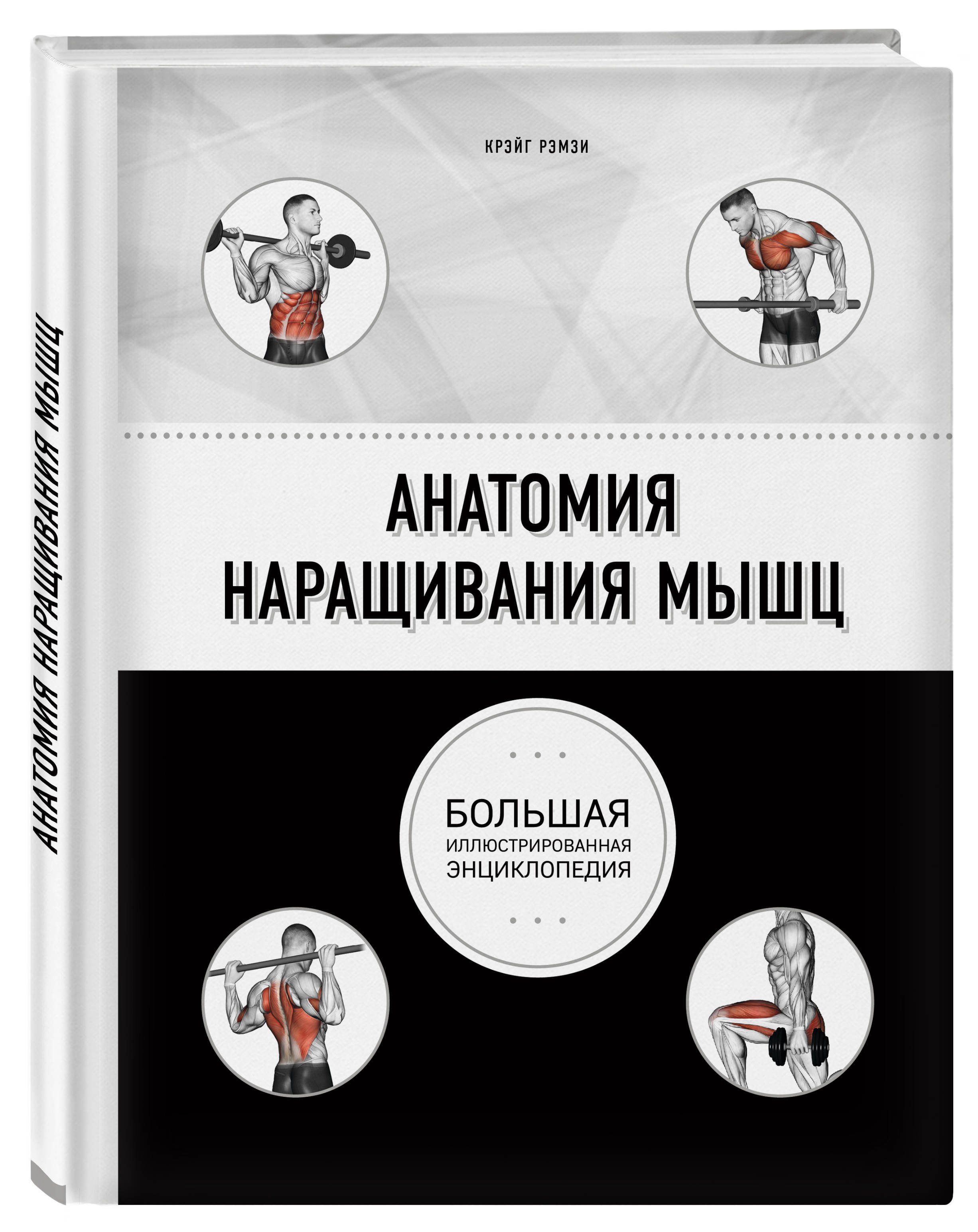 Анатомия наращивания мышц | Рэмзи Крэйг - купить с доставкой по выгодным  ценам в интернет-магазине OZON (266426466)