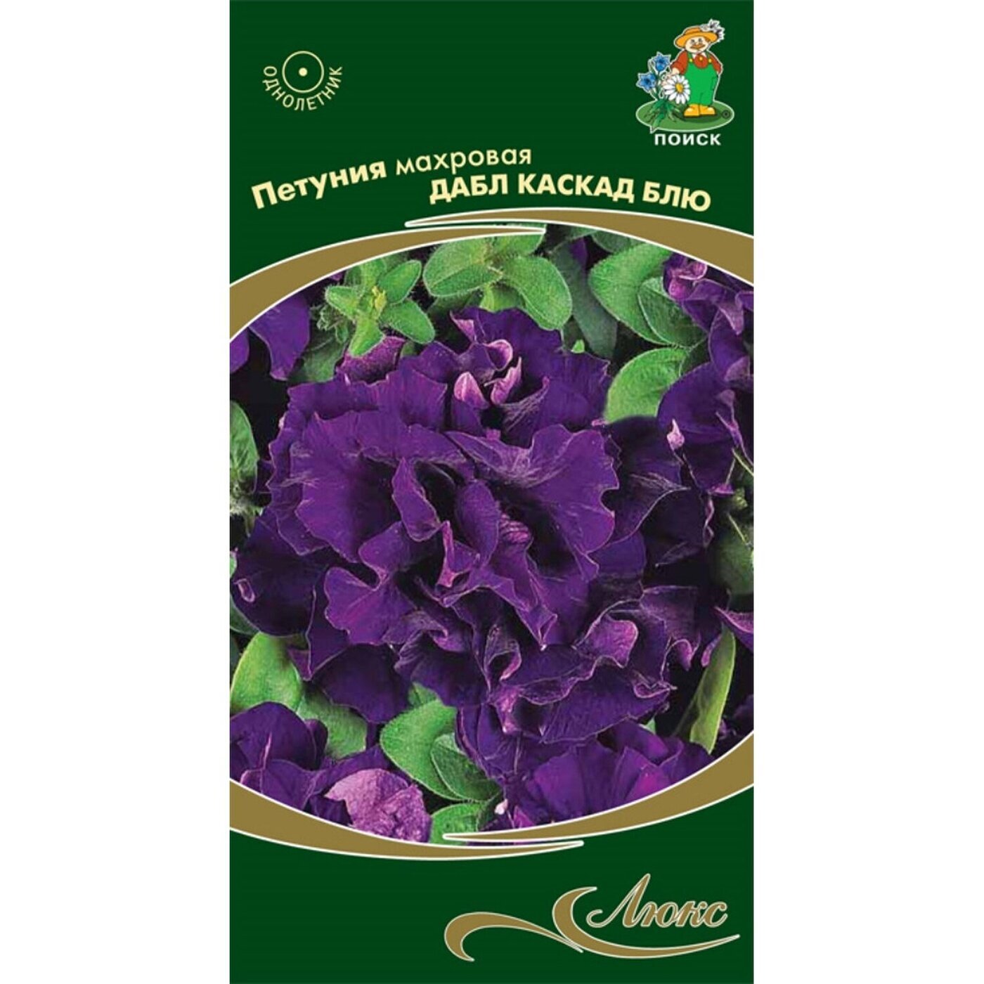 Петуния махровая дабл. Петунья махровая каскадная. Петуния каскадная махровая. Дабл каскад бургунди. Махровая каскадная.