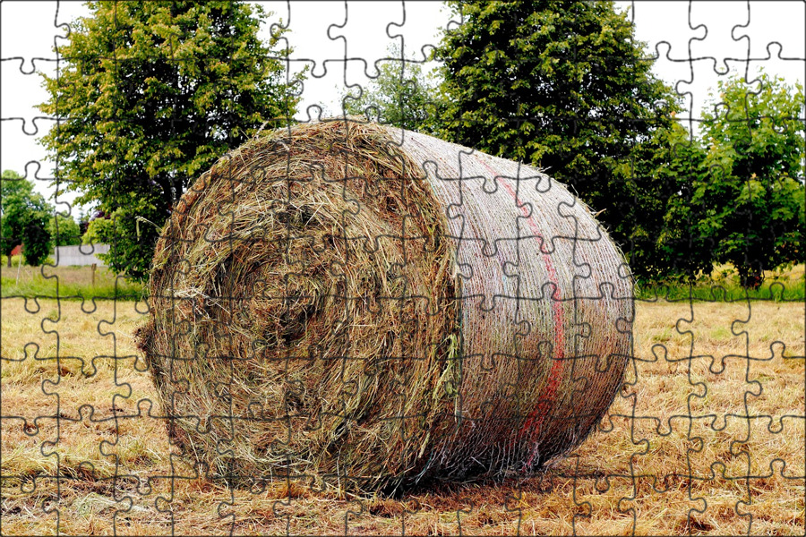 Прессовать сено. Прессовать сено. Прессовать сено. Трактор для сбора тюков. Прессовать сено.