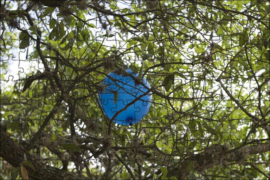 Воздушные шарики деревья. Шары на деревьях. Шар (дерево). Зелёные шары на деревьях. Воздушный шар дерево.