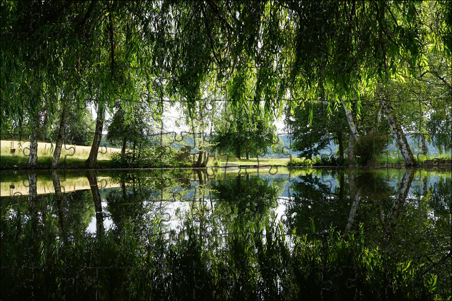 Водоем. Ставок вода. Пруды в см. Открытые водоемы. Пресные водоемы.