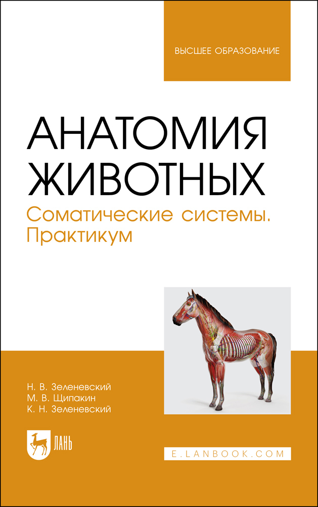 Анатомия и физиология зеленевский. Анатомия животных Зеленевский. Анатомия животных Зеленевский Щипакин. К. Н. Зеленевский "анатомия животных". Анатомия животных Зеленевский Щипакин 2022.