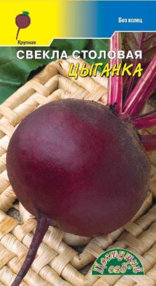 Свекла цыганка. Свекла цыганка. Свекла цыганка описание сорта. Свекла столовая цыганочка. Семена свекла цыганочка лидер.