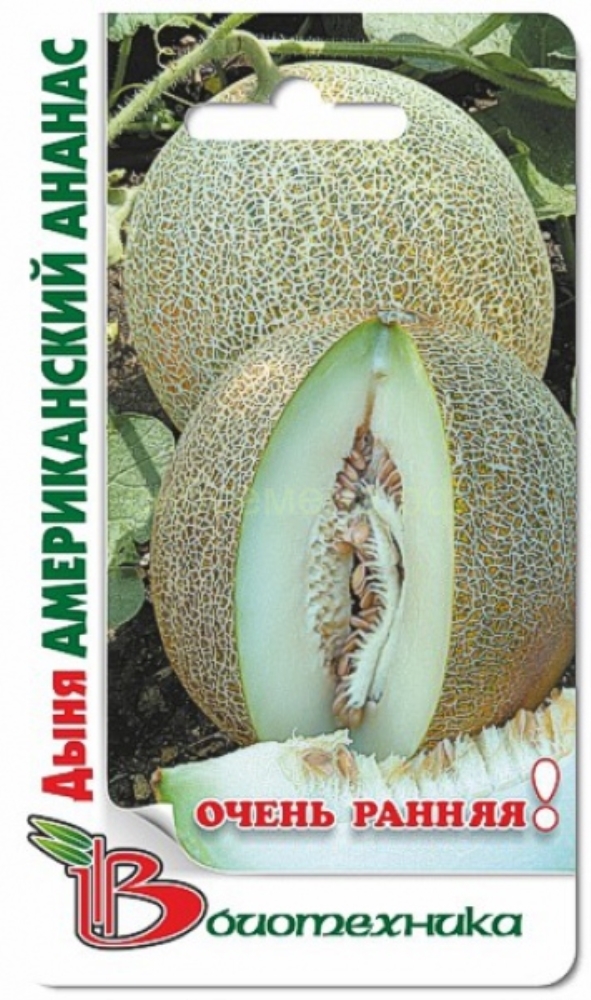 Купить Семена Дыни Ф1