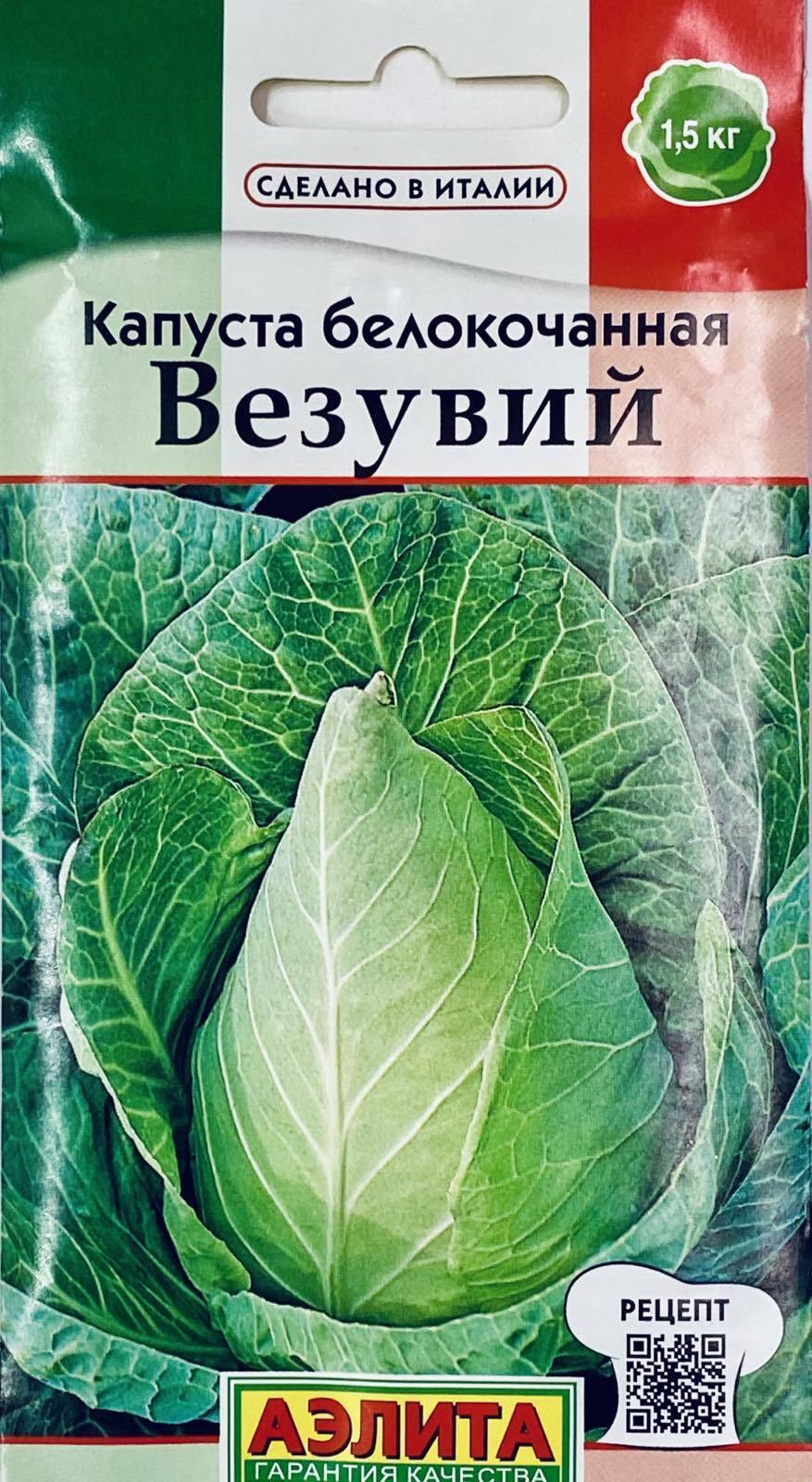 Семена Капусты Конической Формы – купить в интернет-магазине OZON по низкой  цене