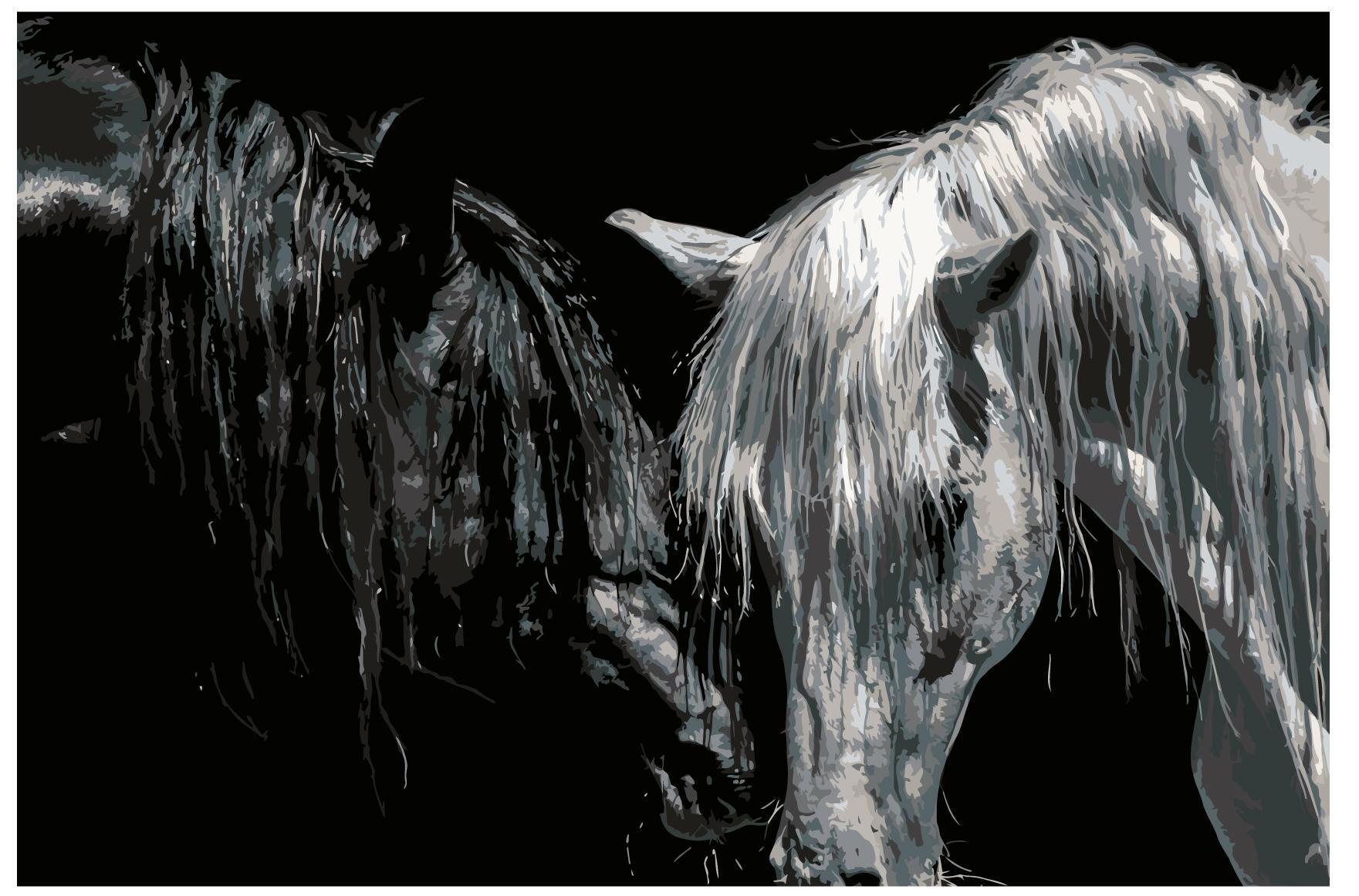 Картина по номерам 100х150 в спальню. Картина по номерам лошади. Картины по номерам 100 150. Картина влюбленная пара. Картины по номерам 100 150.