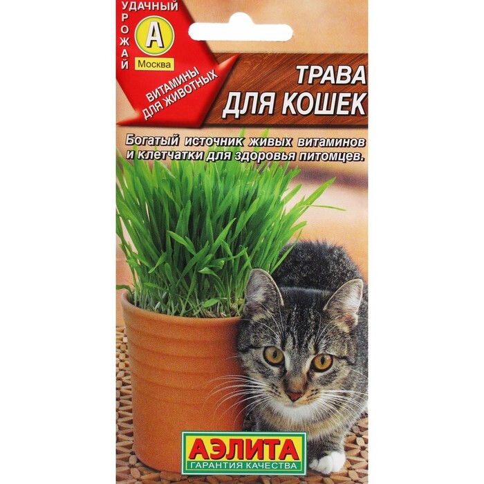 Трава для кошек Ozon