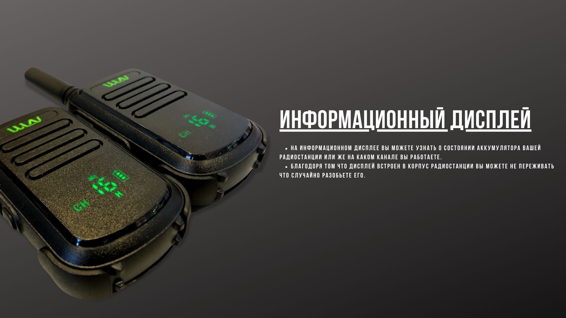 Текстовое описание изображения