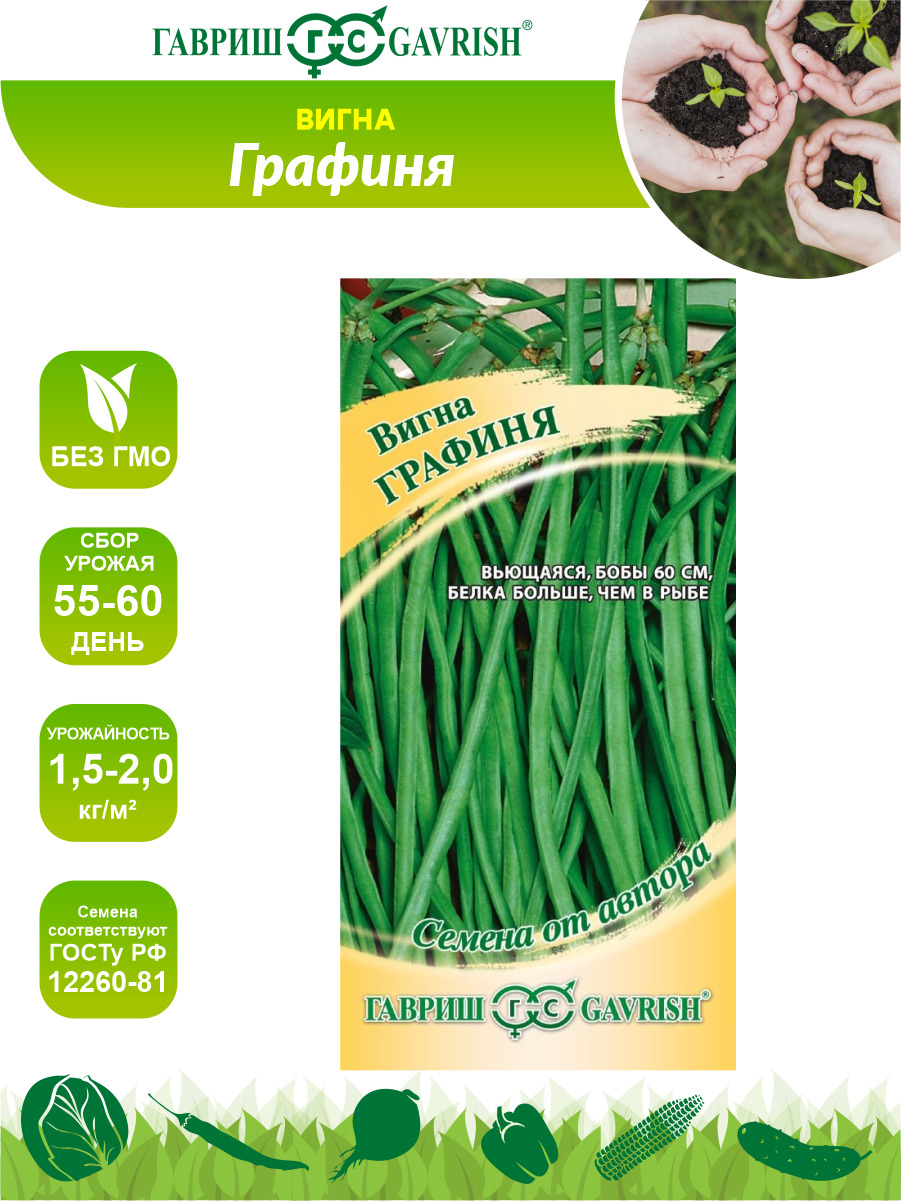 Купить Семена Вигны В Интернет Магазине