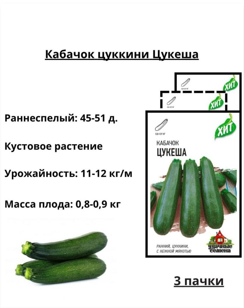 Кабачок цукеша схема посадки