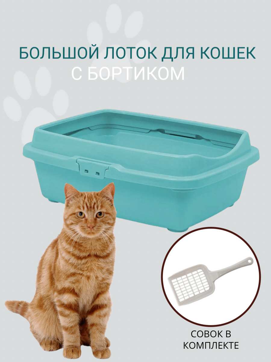 Туалет для кошек большой с бортом DD Style, кошачий туалет, лоток для кошек  с совком, ментоловый - купить с доставкой по выгодным ценам в  интернет-магазине OZON (388242148)