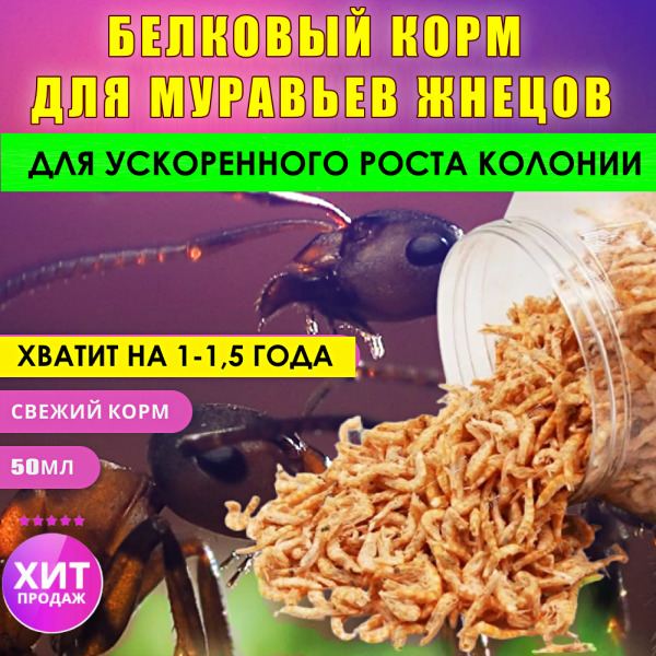 Белковый Корм Для Муравьев Купить