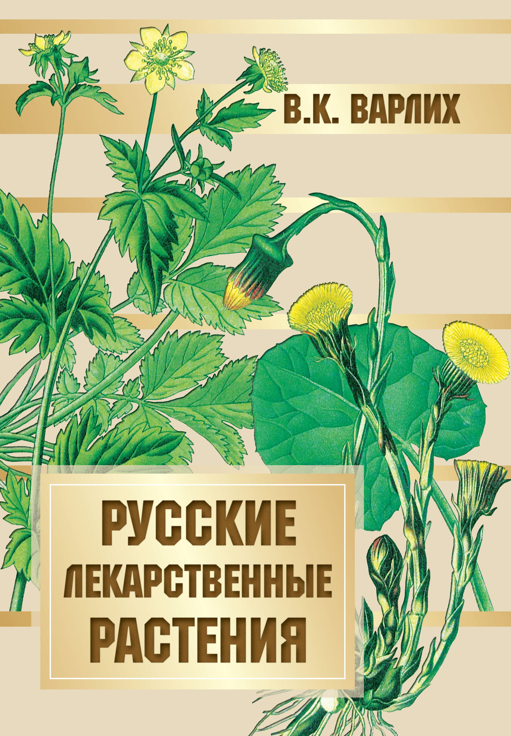 Атлас Лекарственных Растений Ссср 1962 Купить